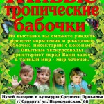 выставка «Живые тропические бабочки»