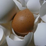 Польза яичной скорлупы